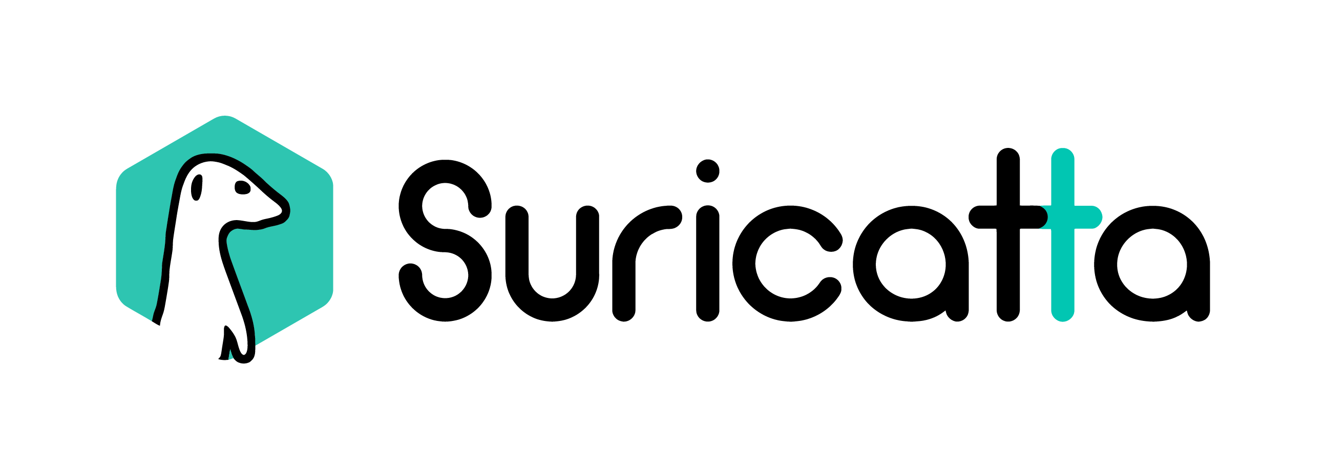 Suricatta